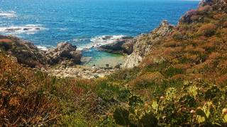scina di Venere-23-05-2023 16-18-34